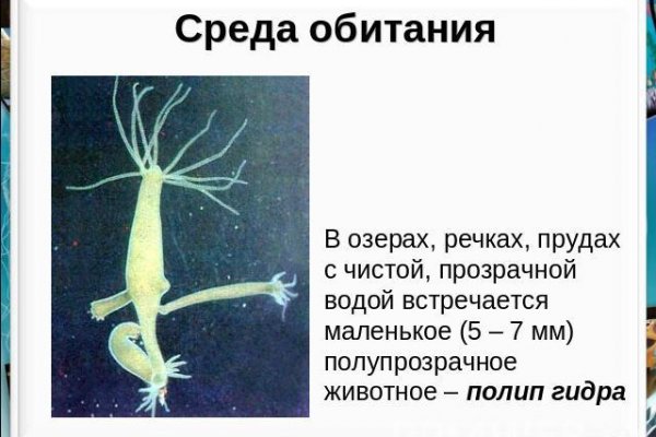 Регистрация на сайте кракен