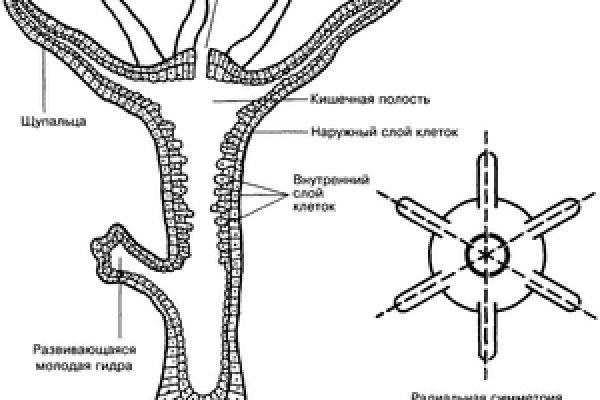 Кракен зайти