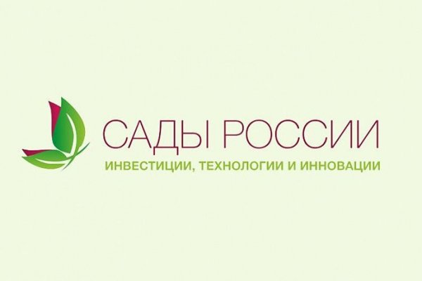Рабочие ссылки и зеркала кракен
