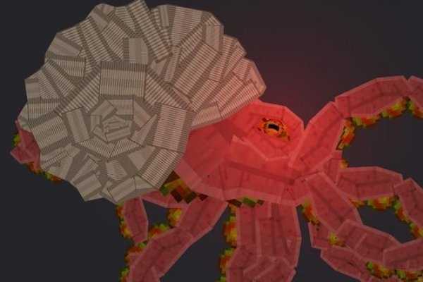 Kraken tor onion зеркало