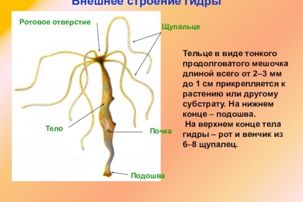 Кракен маркетплейс зеркало krk market com