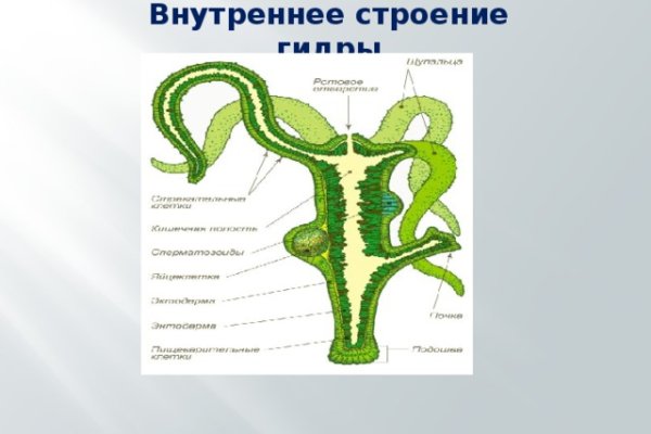 Кракен мага